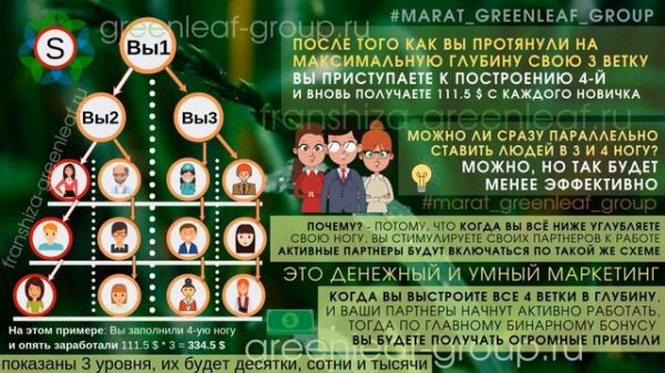 Золотой треугольник в бинарном маркетинге Greenleaf / Гринлиф