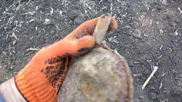 Рубль Петра 2. Часть 2. смотреть онлайн