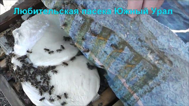 заставка смотреть онлайн