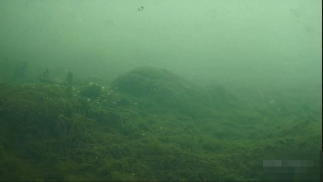 Река Юрюзань. "МОРЕ" рыбы. смотреть онлайн