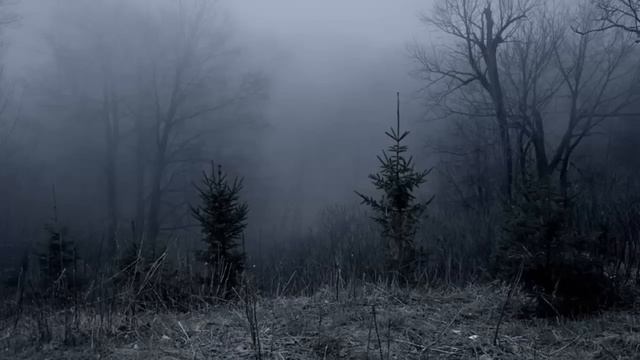 Agalloch - Vales Beyond Dimension смотреть онлайн