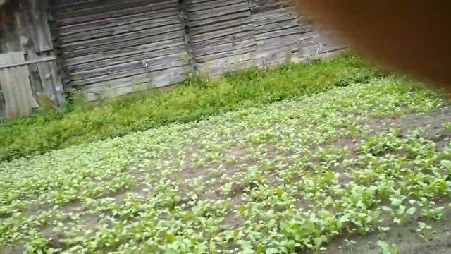 Бешеный мотоблок. смотреть онлайн