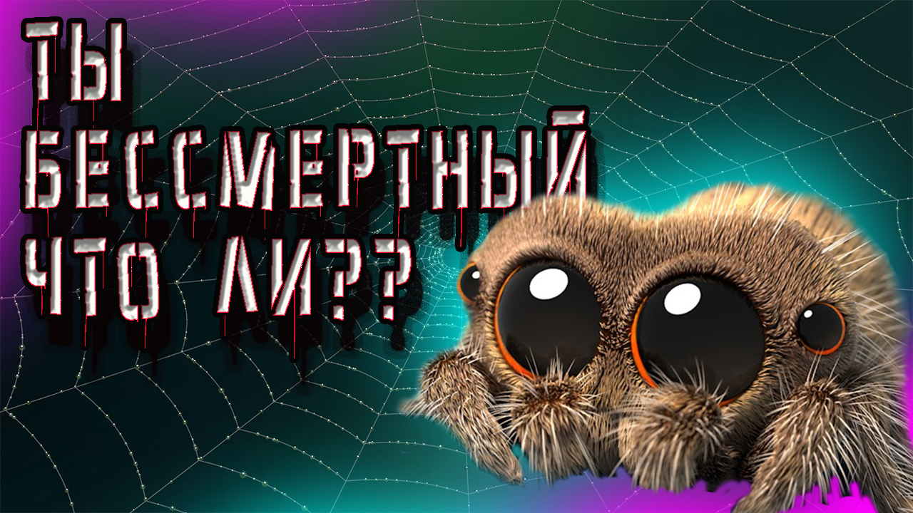 УБОРКА У НЕРВНЫХ ПАУКОВ! смотреть онлайн