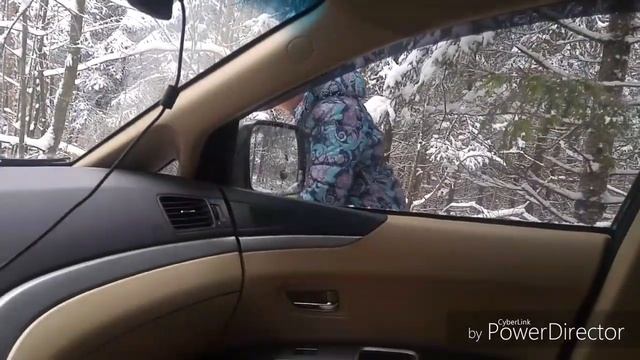 Subaru Tribeca B9 & Subaru Forester на тропе в бездорожье #Subaru #subaruforester