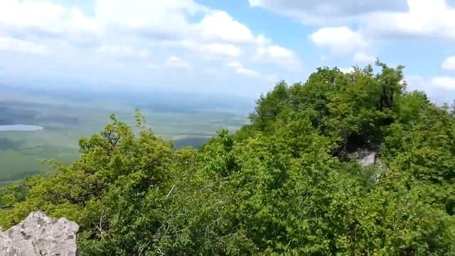 Цветущий шиповник на вершине Развалки смотреть онлайн