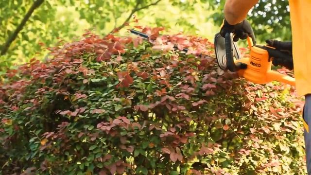 Ingco CHTLI20018 Cordless 20V Grass Hedge Trimmer смотреть онлайн