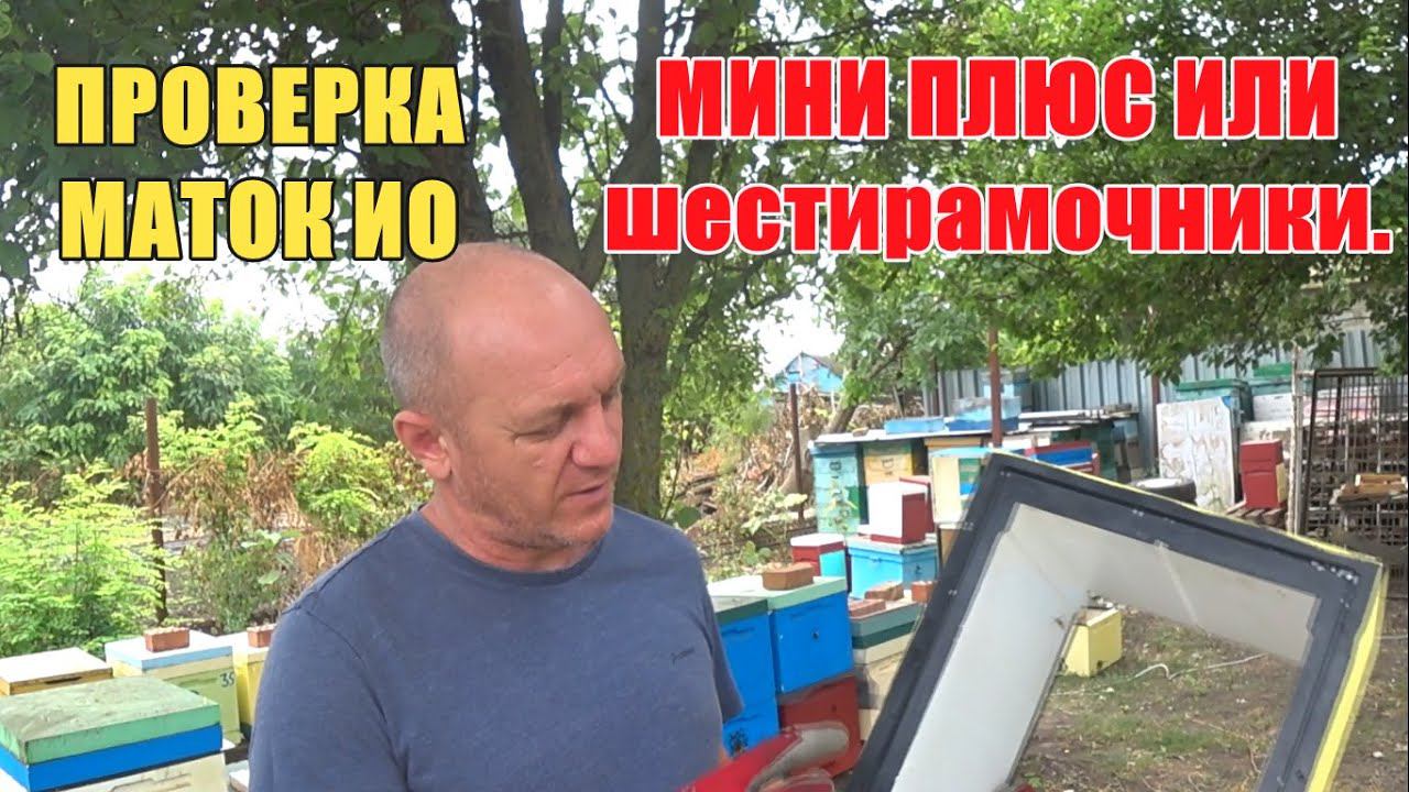 МАТКИ ИО ПРОВЕРКА МИНИ ПЛЮС И УЛЬИ НА ШЕСТЬ РАМОК смотреть онлайн