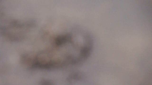 Алтай Завьялово и Горный Алтай