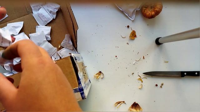 РАСПАКОВКА ПОСЫЛКИ ГЛАДИОЛУСОВ?? РОССИЙСКАЯ СЕЛЕКЦИЯ И НЕ ТОЛЬКО (с фото сортов!) смотреть онлайн
