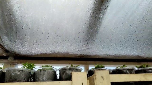 Комиксы и Аниме