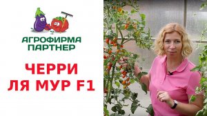 ЧЕРРИ ЛЯ МУР F1