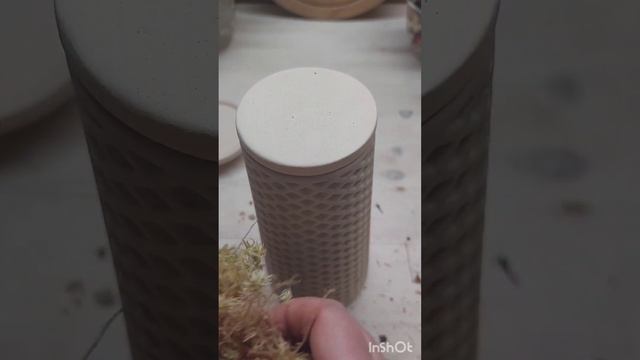 Орхидеи на фитоподе смотреть онлайн