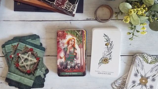 How I pair my Oracle and Tarot decks смотреть онлайн