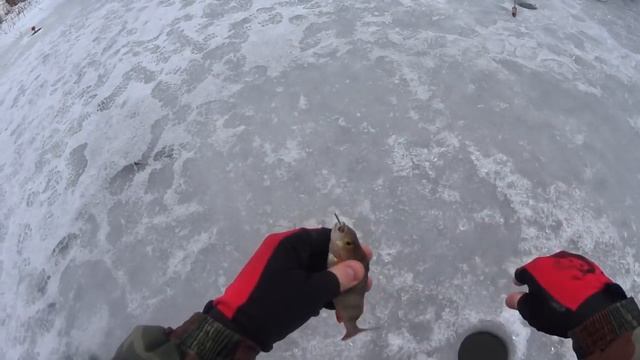 Зимняя рыбалка на реке Свислочь. Ловим Ерша. смотреть онлайн