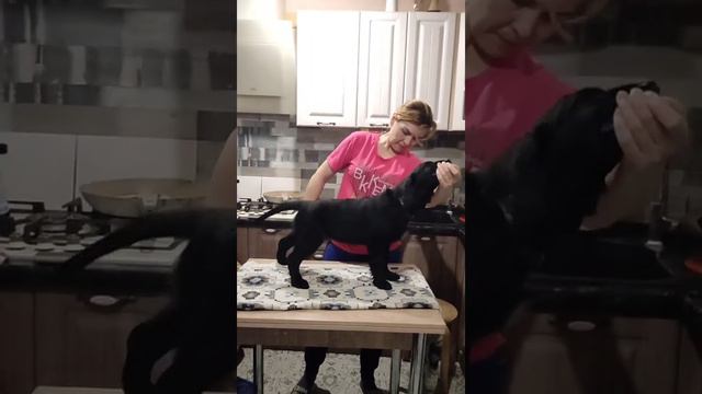 ZOLOTO YUGA AMAZING GLOW девочка свободна