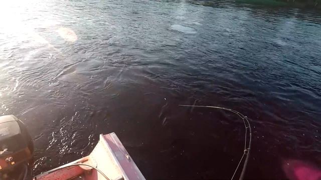 Не реально сильная рыба, смотрите уверен вам понравится. смотреть онлайн