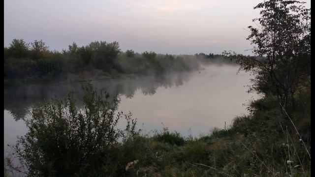 Д Кедрин Седце #стихиоматери#философскаялирика #поэты20века смотреть онлайн