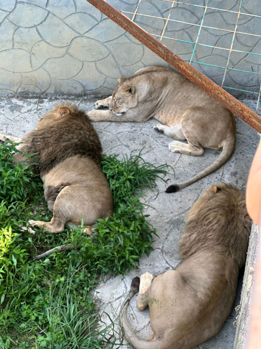 всё спят смотреть онлайн