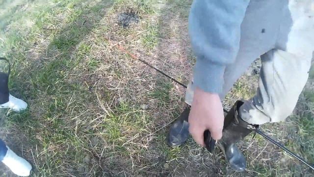 Рыбалка на пруду в Луговом! Ловля ротана на удочку! Рыбалка с Денчиком! смотреть онлайн