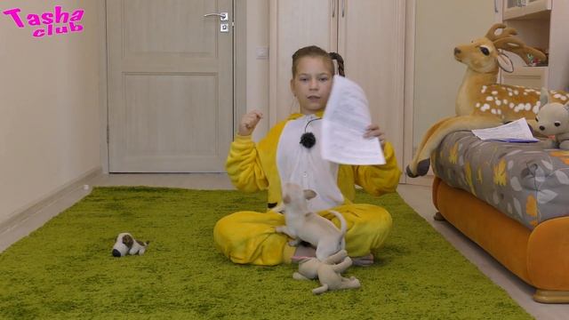 Мне купили щенка ЧИХУАХУА. Какую породу выбрать. Почему чихуа. смотреть онлайн
