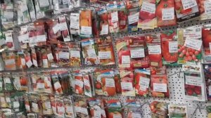 г.Лиски.Покупка семян сезон 2023 год.