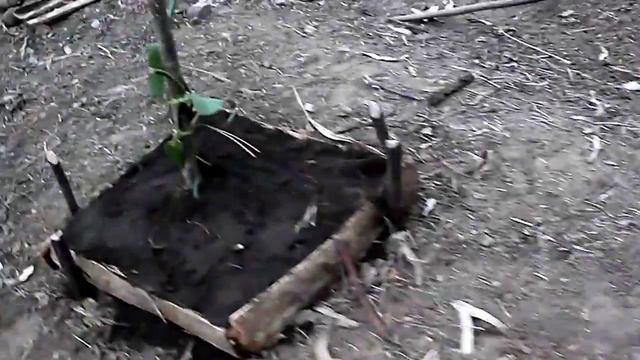 Посадка ванили смотреть онлайн