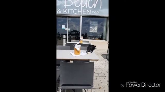 LONDON SUMMER-2019 смотреть онлайн