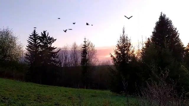 "Спой,ты мне спой"(А.Шатько,Д.Коротаев) - поёт Лариса косарева смотреть онлайн