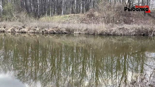 ЧТО МОЖНО ПОЙМАТЬ ЗА ПОЛТОРА ЧАСА РЫБАЛКИ НА РЕКЕ КУДЬМА В г.КСТОВО смотреть онлайн