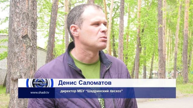 В Шадринске проводится ежегодная акарицидная противоклещевая обработка смотреть онлайн