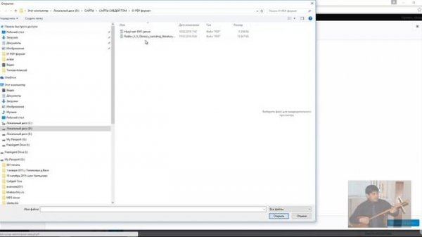 Как вставить на сайт Wordpress документ PDF формата