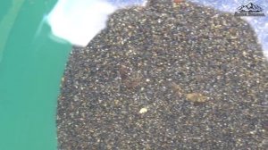 Черный шлих. Описание и извлечение золота.