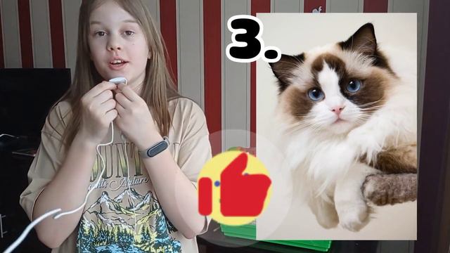 Топ 5 самых ДОБРЫХ пород кошек🥰🐱 || Ulianka Only Pets смотреть онлайн