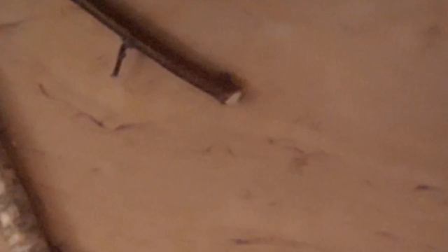 Первое видео. Знакомство. смотреть онлайн