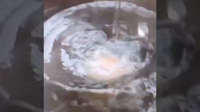 eggs benedict смотреть онлайн