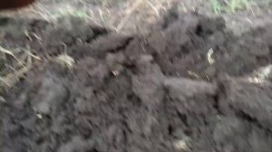 Оборотный плуг для минитрактора.