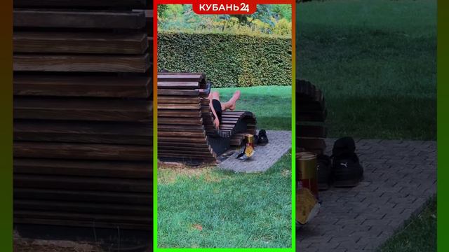 Дерзкая кража чипсов произошла прямо под носом их владельца в парке «Краснодар смотреть онлайн