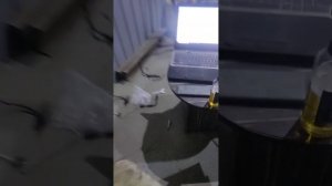 Honda stream 2004 г.в. не заводится в холодную погоду. Расследование зашло в тупик. В конце мат.