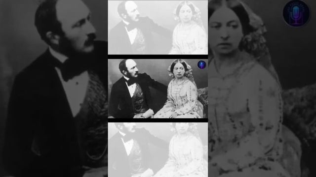 Facts about Christmas tree Part-2 |@thesumbul2816 #shortsindian #queenvictoria #christmasfacts смотреть онлайн