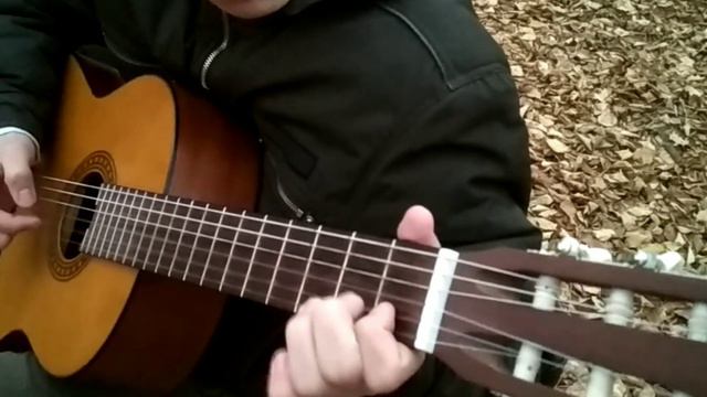ВЕЧЕРНЯЯ ГИТАРА. ГИТАРА НА ПРИРОДЕ # 8 смотреть онлайн