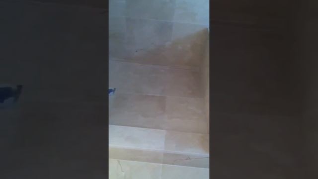 Global tile and marble смотреть онлайн