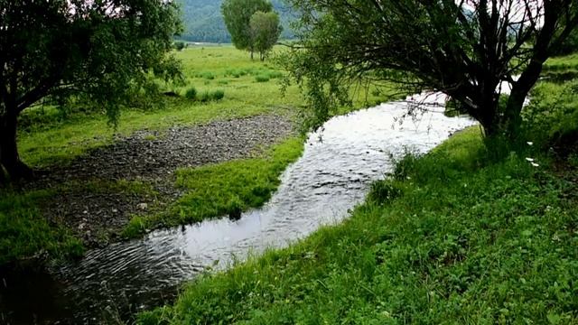 Птицы поют на берегу ручья для вашего отдыха, крепкого сна и лечения депрессии