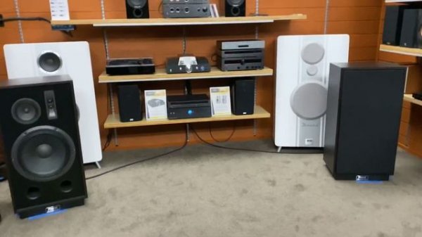 Magnat Transpuls 1500 Product Review