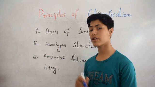 Principle of Classification смотреть онлайн