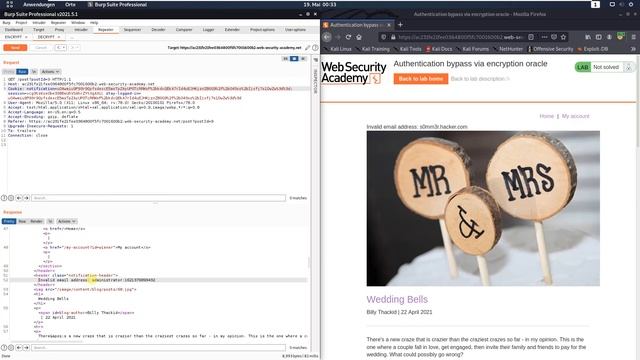 Authentication bypass via encryption oracle (Video solution, Audio) смотреть онлайн