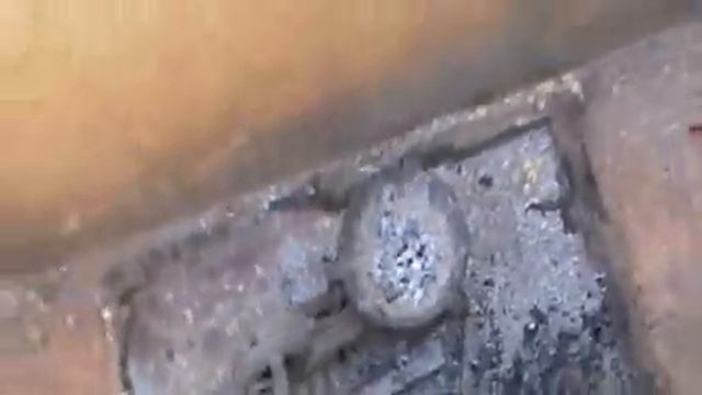 Что можно увидеть на территории отеля на Гоа. смотреть онлайн