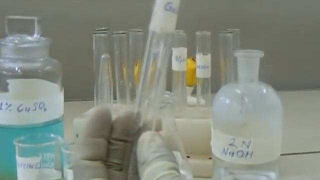 Biuret's Test - Qualitative Test in Proteins смотреть онлайн
