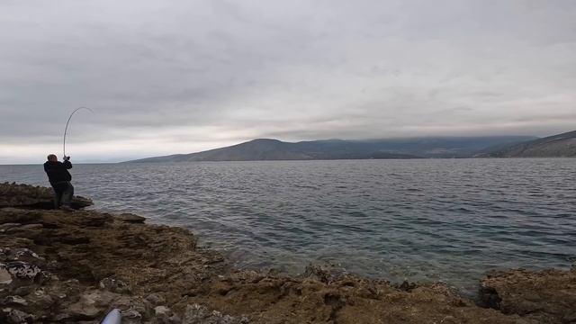 Fishing Tunnies With Top Water Lures: The Best Tips, Tricks, And Screaming Drags!