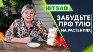 Супер Средство Пищевая Сода Против Тли ✔️ Опрыскивание содой в саду