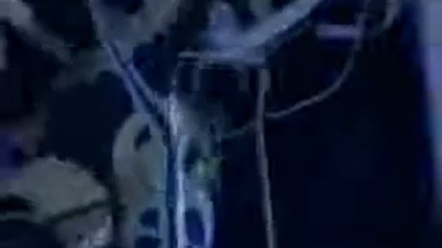 ВОЗДУШНАЯ ГИМНАСТКА В КОЛЬЦЕ смотреть онлайн